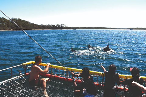 Jervis Bay Boom Netting And Dolphins Tour - Tourism Caloundra 2