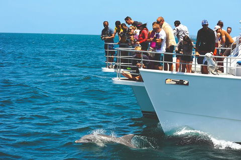 Jervis Bay Boom Netting And Dolphins Tour - Tourism Caloundra 10