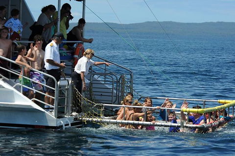 Jervis Bay Boom Netting And Dolphins Tour - Tourism Caloundra 5