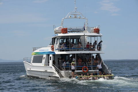 Jervis Bay Boom Netting And Dolphins Tour - Tourism Caloundra 12
