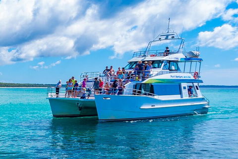 Jervis Bay Boom Netting And Dolphins Tour - Tourism Caloundra 3