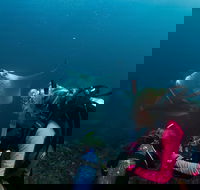 5-Hour Byron Bay Introductory Scuba Diving Tour - Tourism Caloundra