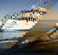 Jervis Bay Dolphin Watch Cruise - Tourism Caloundra