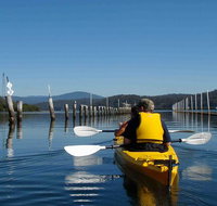Batemans Bay Oyster Tasting Kayak Tour - Tourism Caloundra