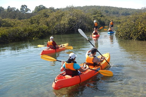 Batemans Bay Glass-Bottom Kayak Tour Over 2 Relaxing Hours - Tourism Caloundra 4