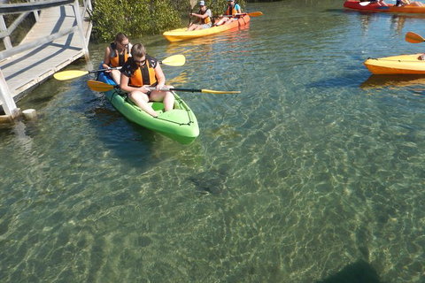 Batemans Bay Glass-Bottom Kayak Tour Over 2 Relaxing Hours - Tourism Caloundra 5