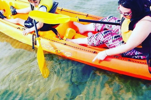 Batemans Bay Glass-Bottom Kayak Tour Over 2 Relaxing Hours - Tourism Caloundra 6