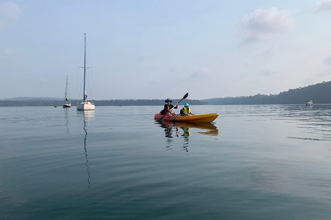 Batemans Bay Glass-Bottom Kayak Tour Over 2 Relaxing Hours - Tourism Caloundra 7