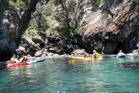 Batemans Bay Glass-Bottom Kayak Tour Over 2 Relaxing Hours - Tourism Caloundra 3