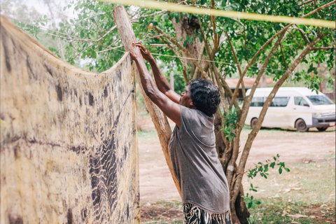 Anindilyakwa Arts, Groote Eylandt - Tourism Caloundra 1