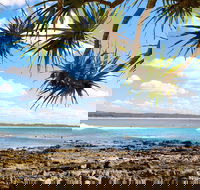 Arrawarra-Corindi Beach - Tourism Caloundra