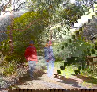 Arthurs Seat Circuit Walk - Tourism Caloundra