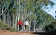 Arthur River - thumb 0