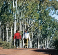 Arthur River - Tourism Caloundra