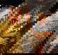 Australian Army Flying Museum - Tourism Caloundra