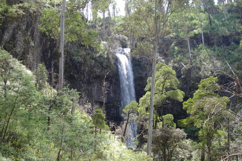 Bindaree Falls - Tourism Caloundra 0