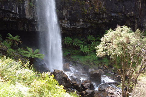 Bindaree Falls - Tourism Caloundra 1
