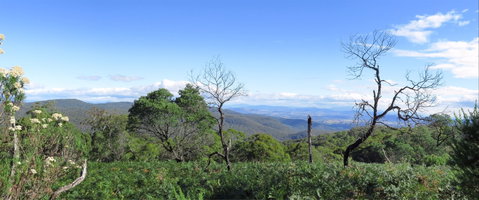 Blue Range Camping And Picnic Area - Tourism Caloundra 0