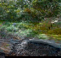Browns Forest Loop Trail - Tourism Caloundra