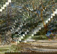 Bundanoon cycling route - Tourism Caloundra