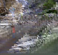 Butterfly Gorge Nature Park - Tourism Caloundra
