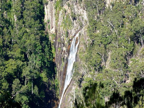 Carrai National Park - Tourism Caloundra 0