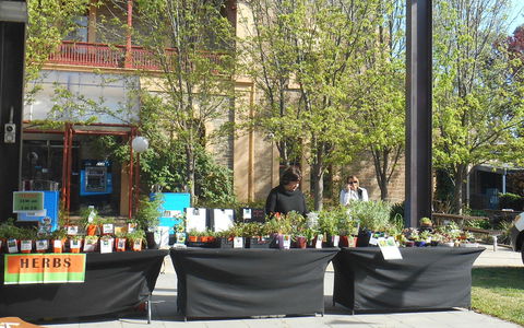 Clare Show Market - Tourism Caloundra 0
