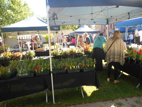 Clare Show Market - Tourism Caloundra 1