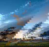 Cleveland Nandeebie/Indillie - Tourism Caloundra