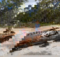 Crooked Brook Forest - Tourism Caloundra