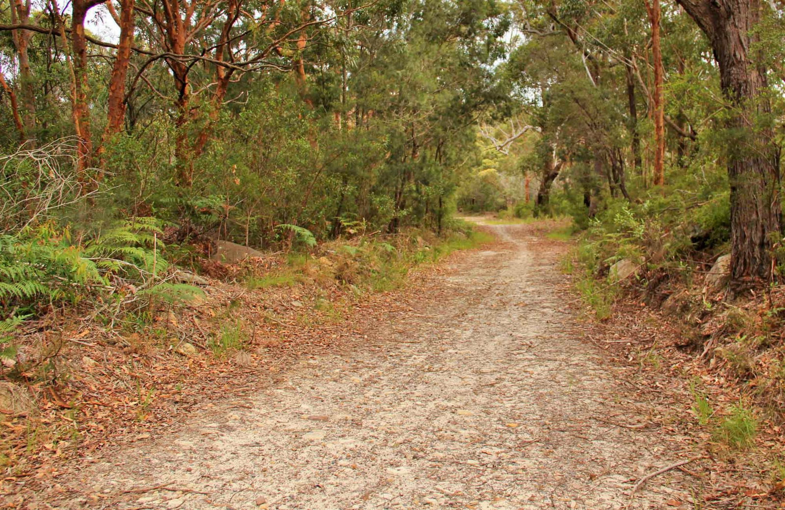 Killcare Heights NSW Tourism Caloundra