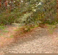 Daleys Point Walking Track - Tourism Caloundra