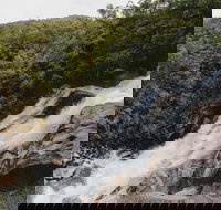 Davies Creek National Park and Dinden National Park - Tourism Caloundra