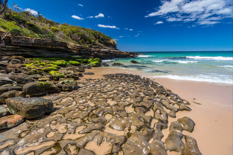 Dawsons Island Beach - Tourism Caloundra 0