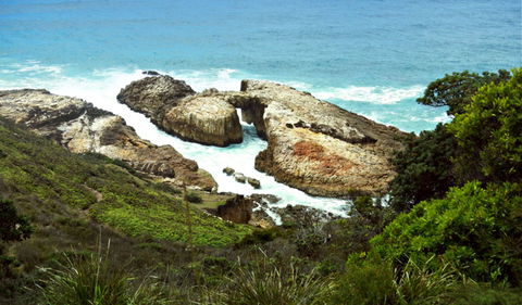 Diamond Head Loop Walk - Tourism Caloundra 0