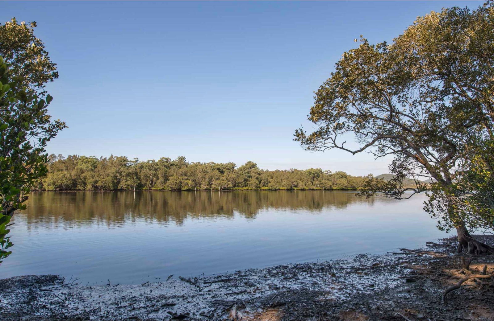 Limeburners Creek NSW Tourism Caloundra