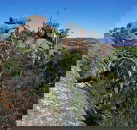 Evans Crown Nature Reserve - Tourism Caloundra