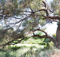 Gathercole Nature Reserve - Tourism Caloundra