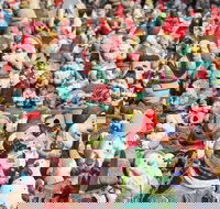 Gnomesville - Tourism Caloundra