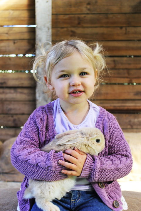 Golden Ridge Animal Farm - Tourism Caloundra 0