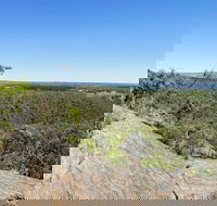 Hale Conservation Park - Tourism Caloundra