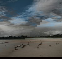 Hardwicke Bay - Tourism Caloundra