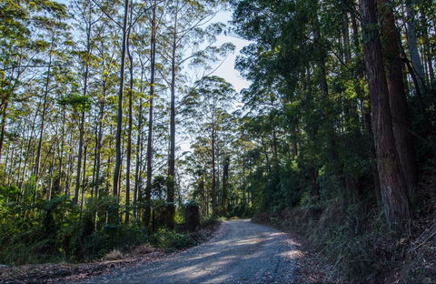 Hastings Forest Way Touring Route - Tourism Caloundra 0