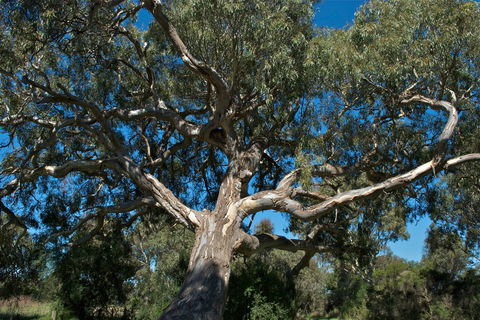 Holey Plains State Park - Tourism Caloundra 0
