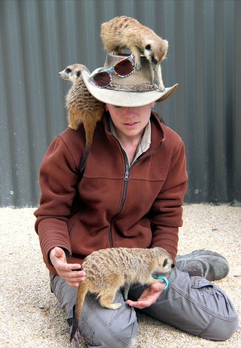 Hunter Valley Zoo - Tourism Caloundra 2