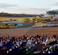 Ipswich Motorsport Precinct - Tourism Caloundra