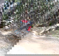 Jolly Nose Mountain Bike Park - Tourism Caloundra