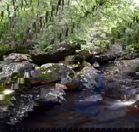 Kangaroo River - Tourism Caloundra