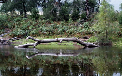 Kayaking Upper Tuross River And Bumbo Lake - Tourism Caloundra 0