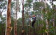 Kinglake Forest Adventures - thumb 0